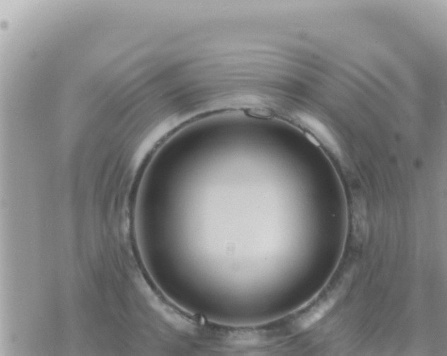 X0000073760944200608102042