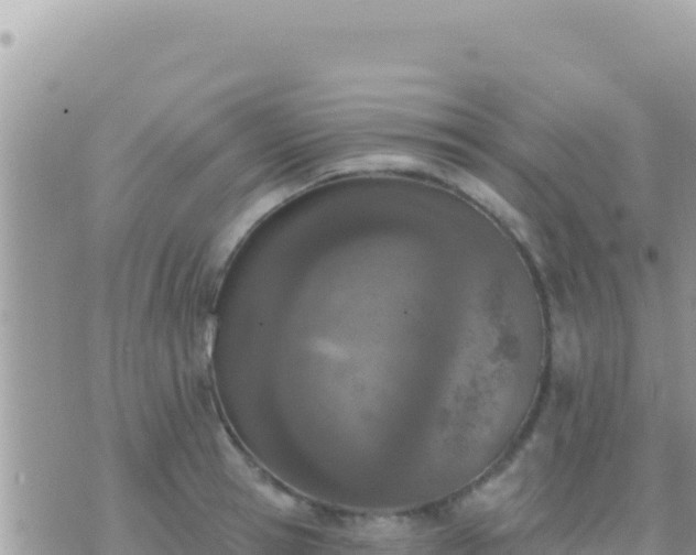 X0000073760945200608102042