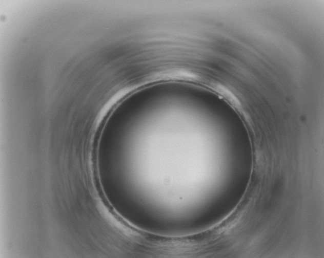 X0000073760947200608102042