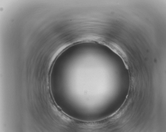 X0000073760948200608102042