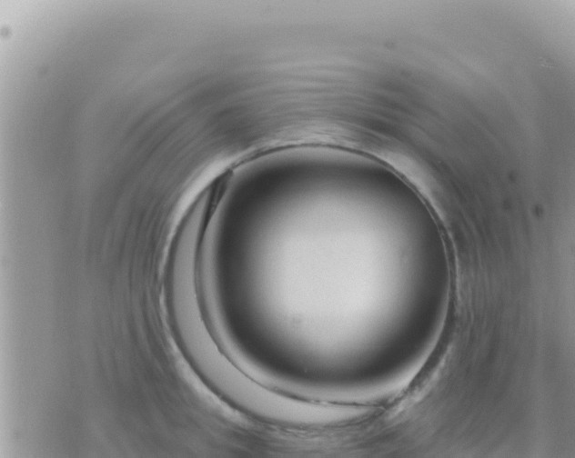 X0000073760949200608102042