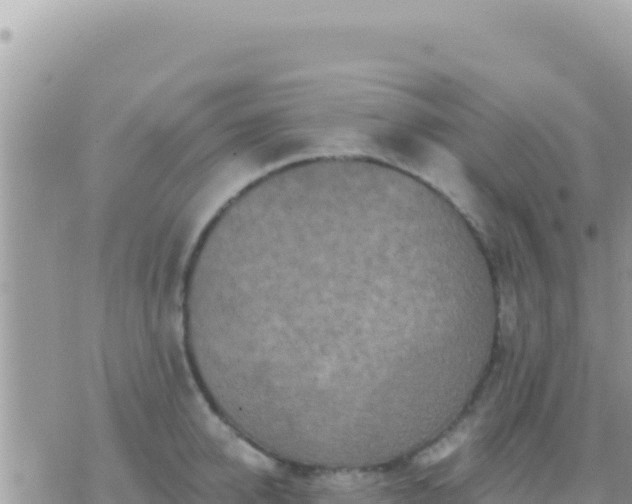 X0000073760950200608102042