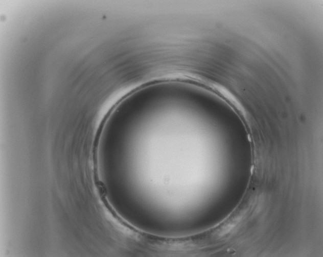 X0000073760951200608102042