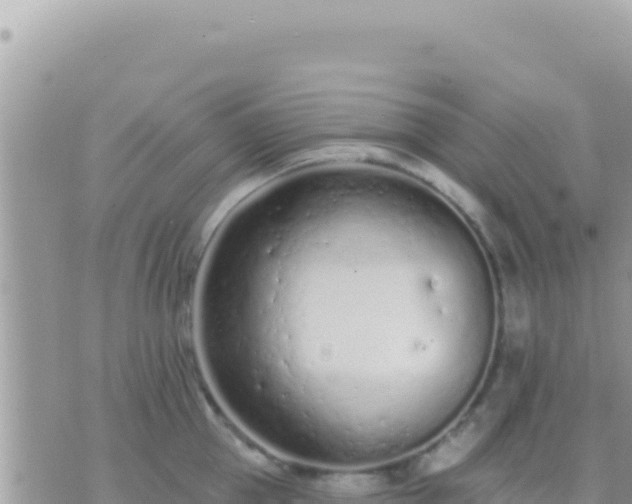 X0000073760953200608102042