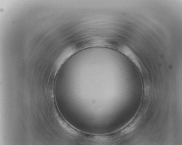 X0000073760954200608102042