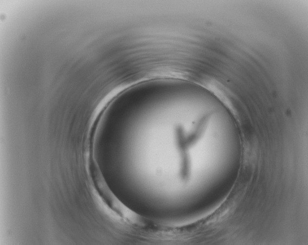 X0000073760955200608102042