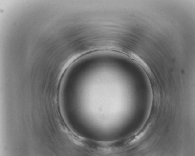 X0000073760956200608102042