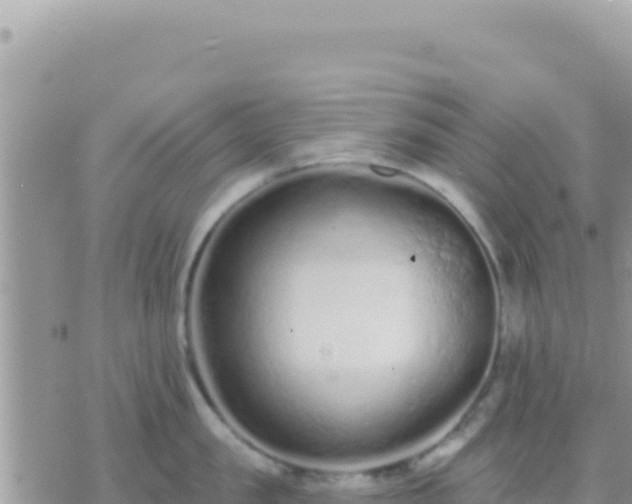 X0000073760957200608102042