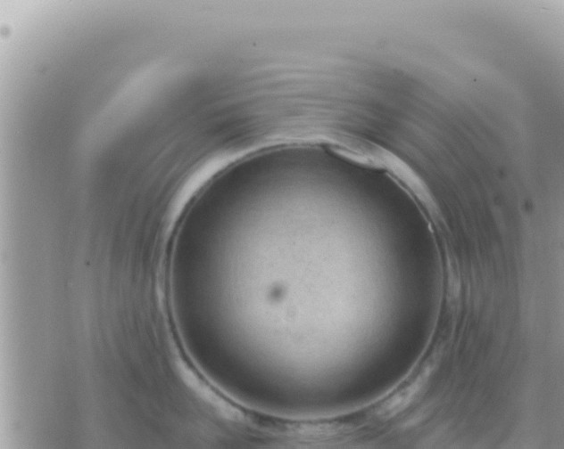 X0000073760958200608102042