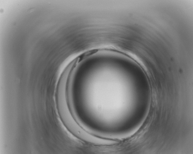 X0000073760959200608102042