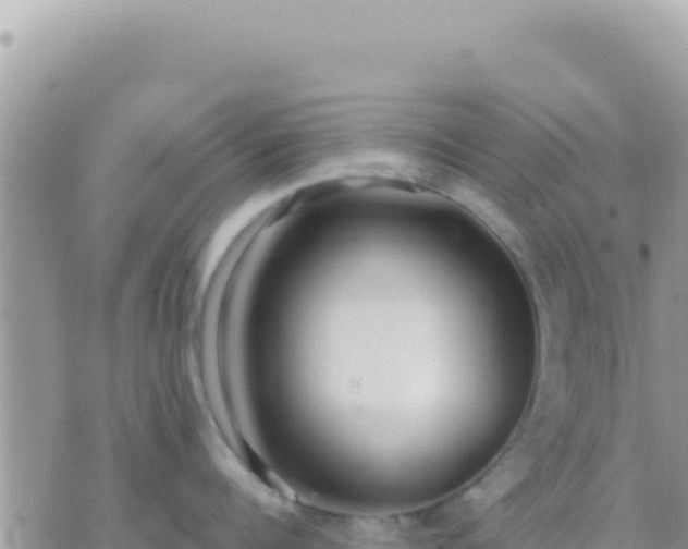 X0000073760960200608102042