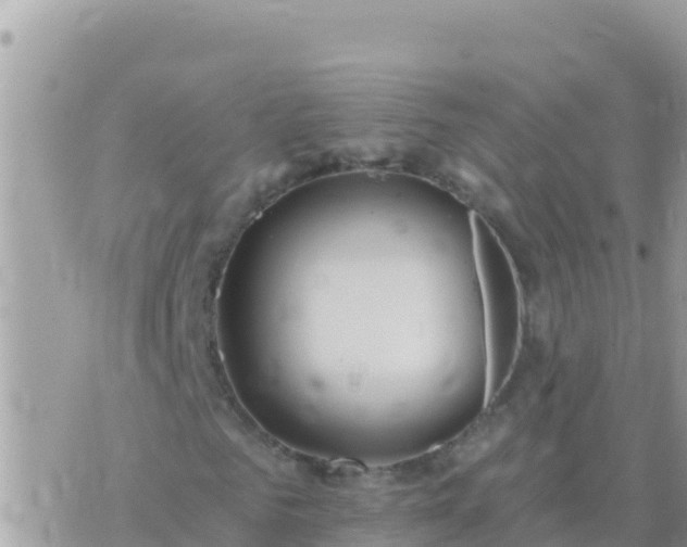 X0000073760961200608102042