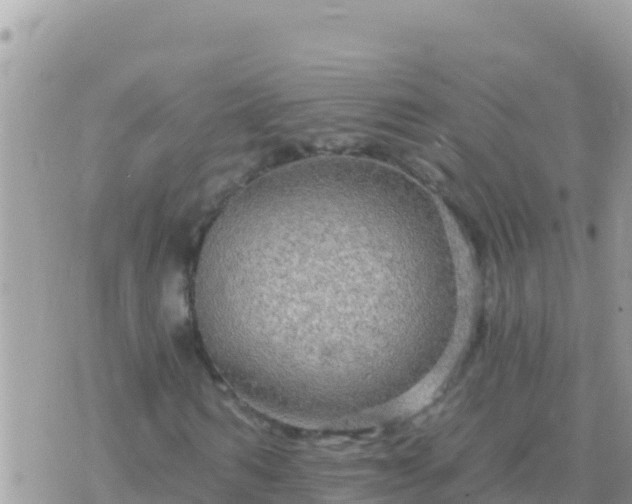 X0000073760962200608102041