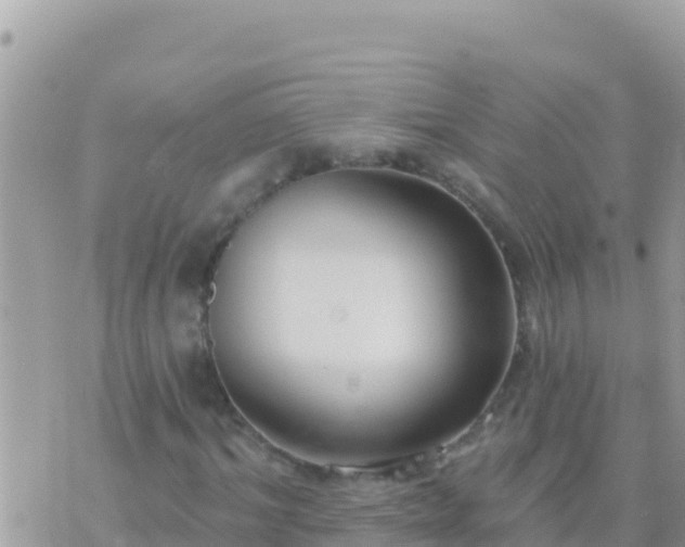 X0000073760964200608102041