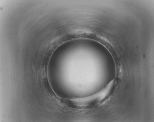 X0000073760965200608102041