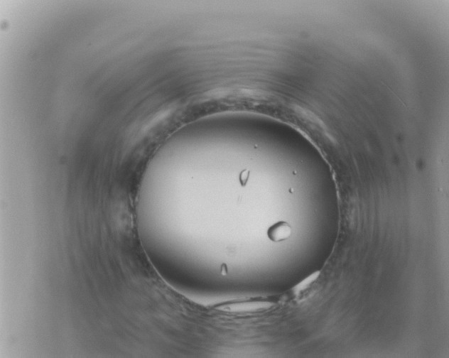 X0000073760966200608102041