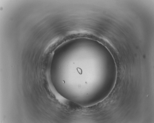 X0000073760967200608102041