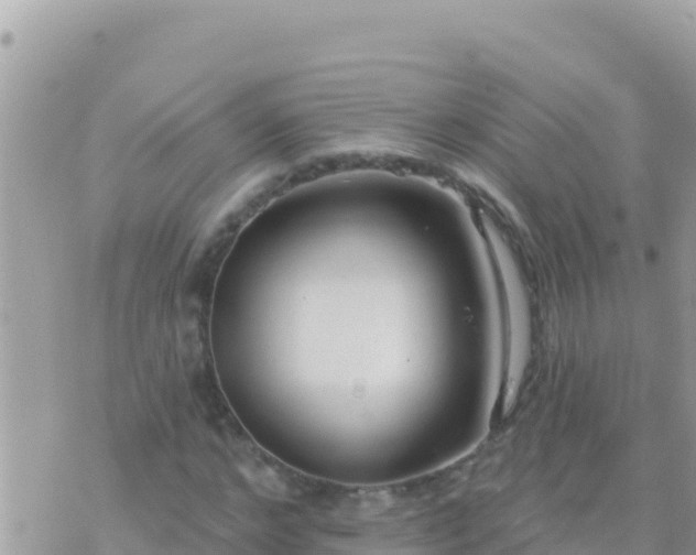 X0000073760968200608102041