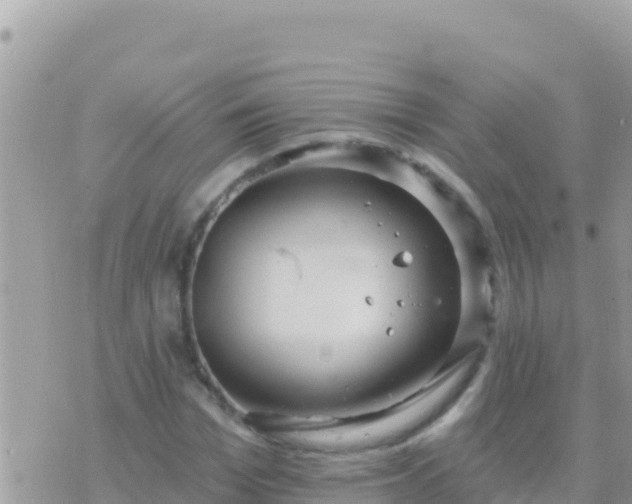 X0000073760969200608102041