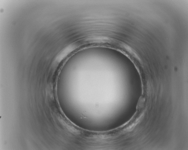 X0000073760970200608102041