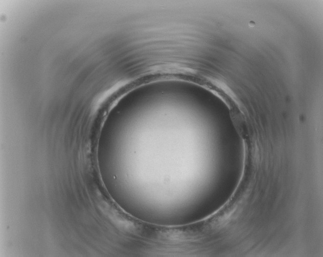 X0000073760971200608102041