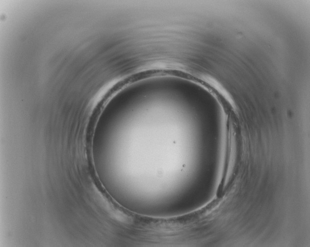 X0000073760972200608102041