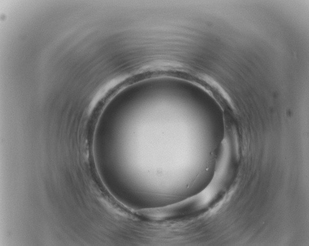 X0000073760973200608102041