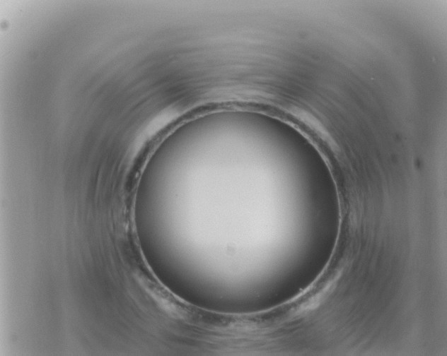 X0000073760974200608102041