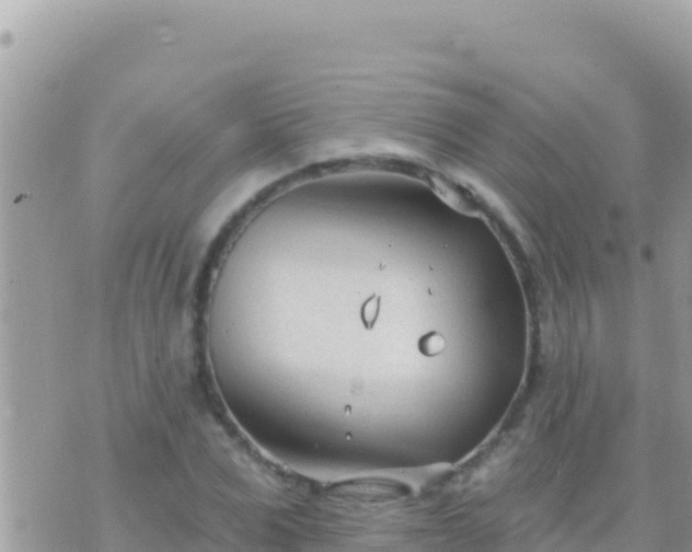 X0000073760975200608102041