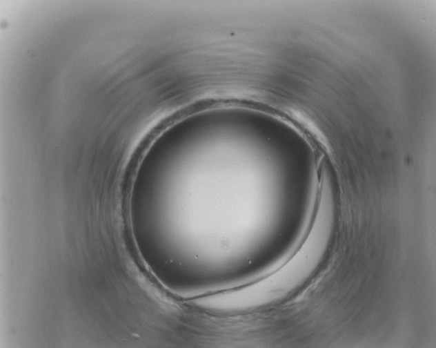 X0000073760976200608102041