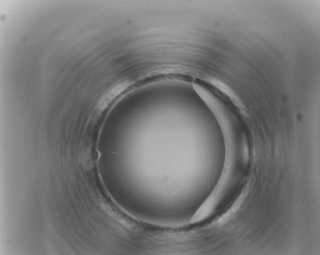 X0000073760977200608102041