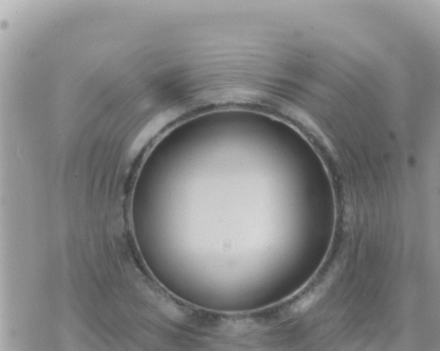 X0000073760978200608102041