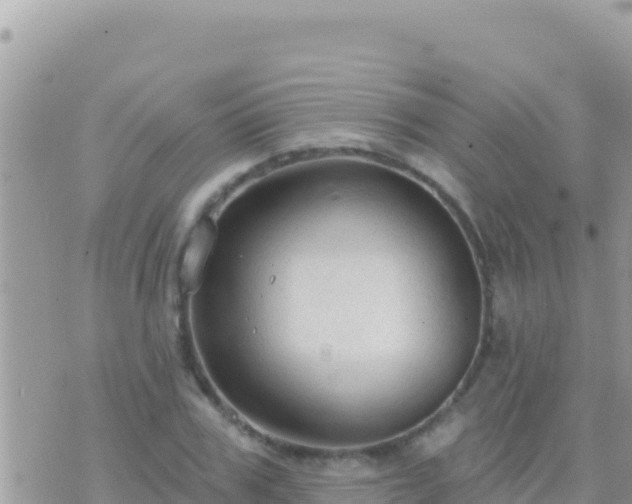 X0000073760979200608102041