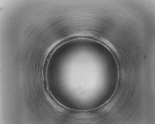 X0000073760980200608102041