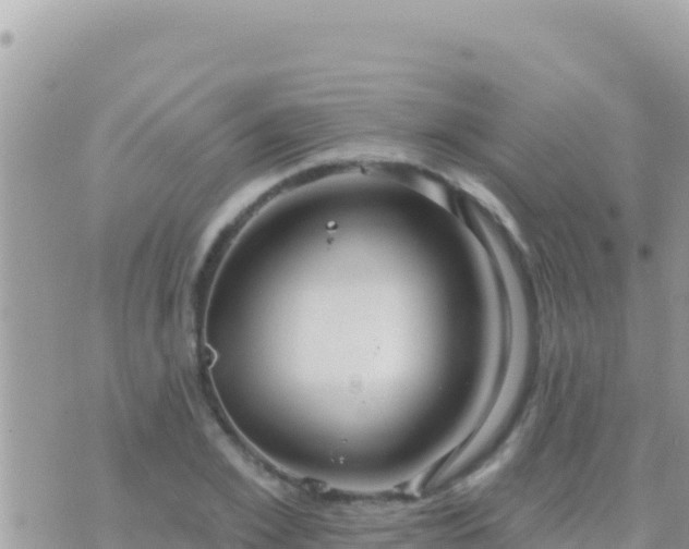 X0000073760981200608102041