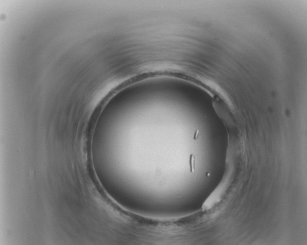 X0000073760983200608102041