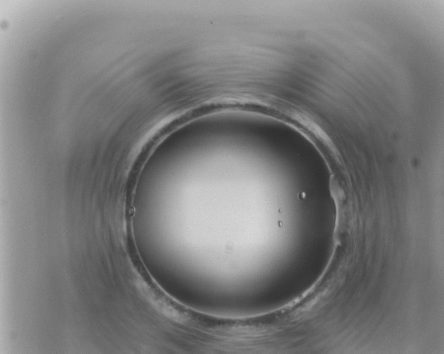 X0000073760984200608102041