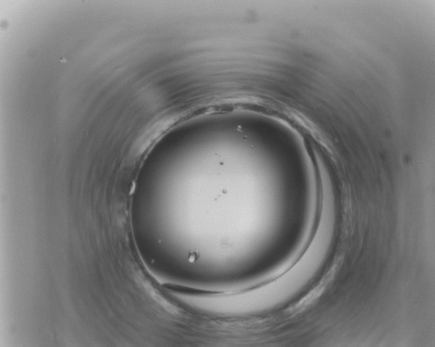 X0000073760985200608102041