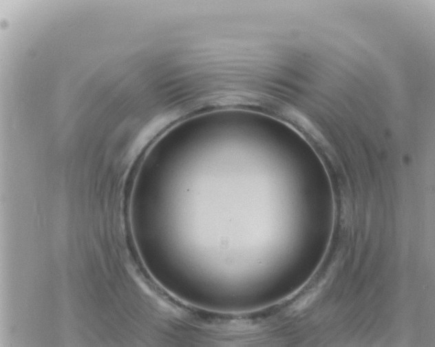 X0000073760986200608102041