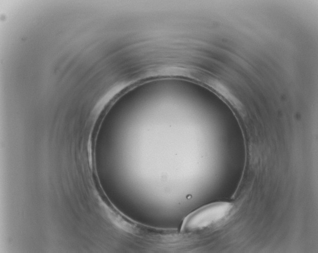 X0000073760988200608102041