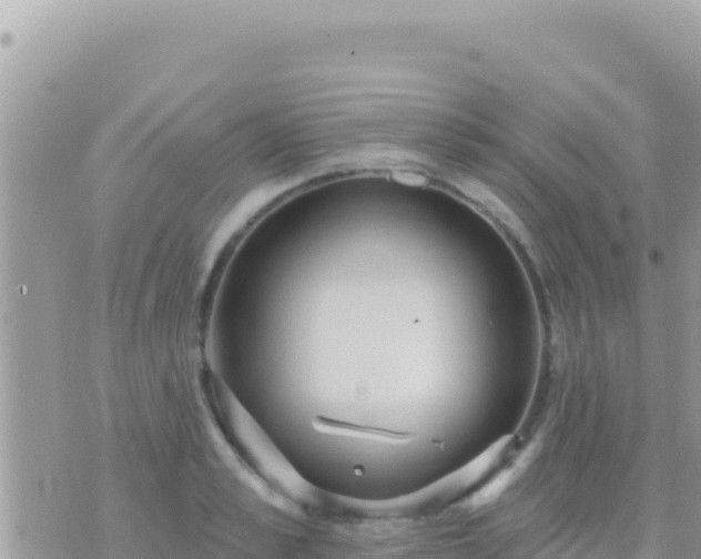 X0000073760989200608102041