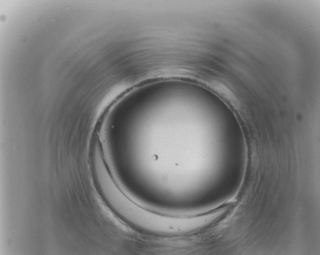 X0000073760990200608102041