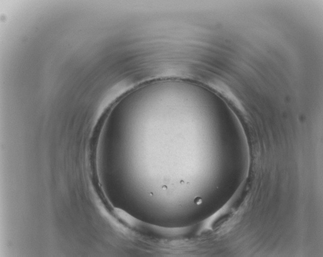 X0000073760991200608102041