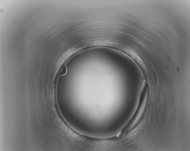 X0000073760992200608102041