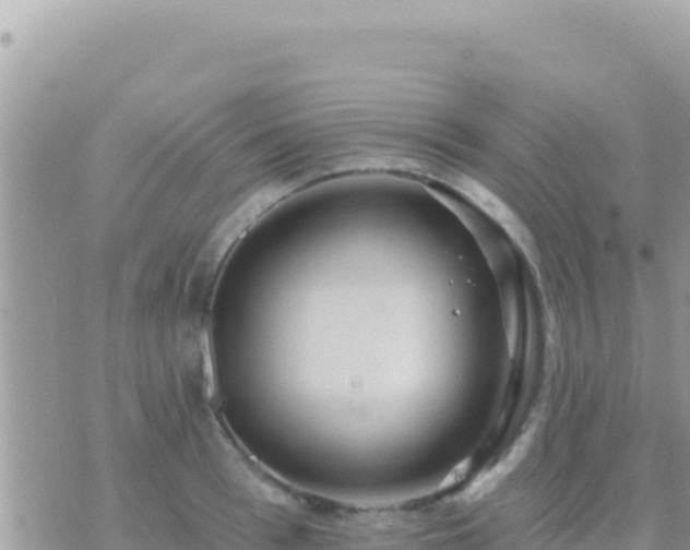 X0000073760993200608102041