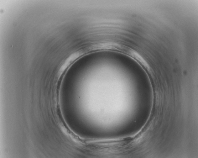 X0000073760994200608102041