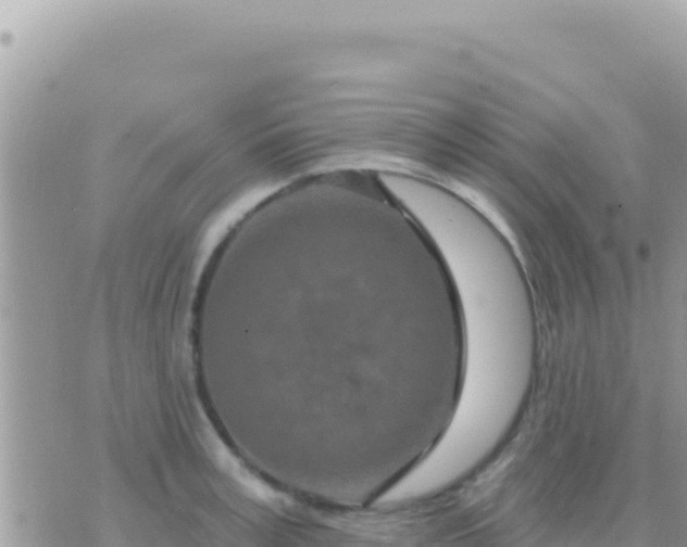 X0000073760995200608102041