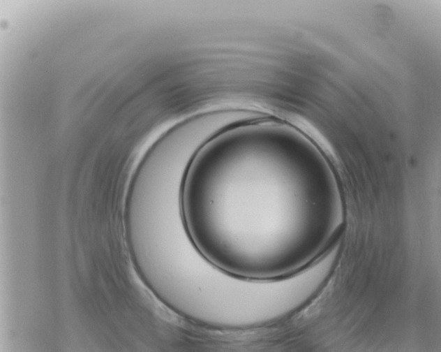 X0000073760996200608102041