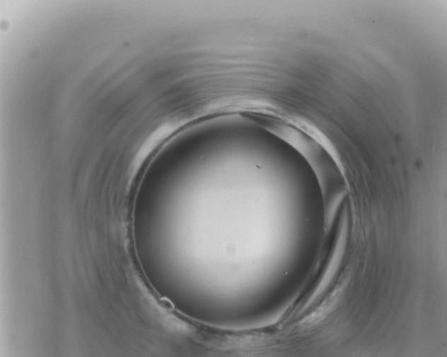 X0000073760997200608102041