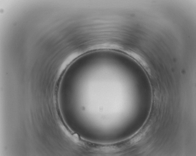 X0000073760998200608102041